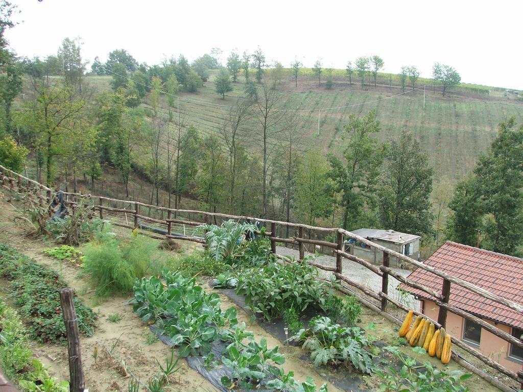 Agriturismo Cascina Aurora Villa Acqui Terme Esterno foto