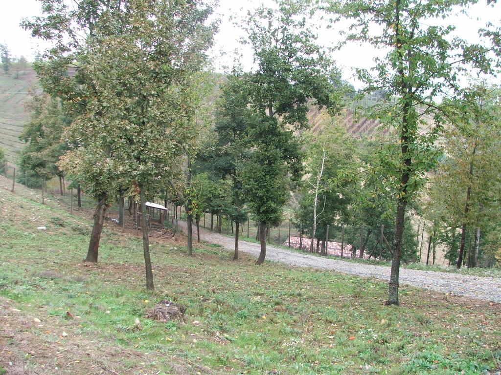 Agriturismo Cascina Aurora Villa Acqui Terme Esterno foto