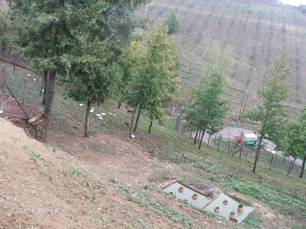 Agriturismo Cascina Aurora Villa Acqui Terme Esterno foto